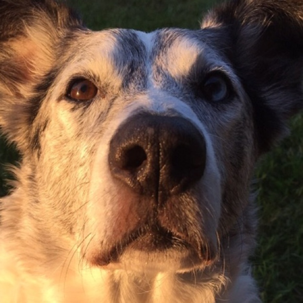 Meet your Posher, Kkrista